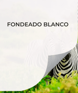 FONDEADO BLANCO