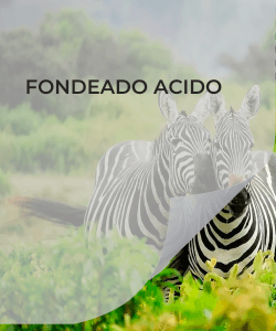 FONDEADO ACIDO